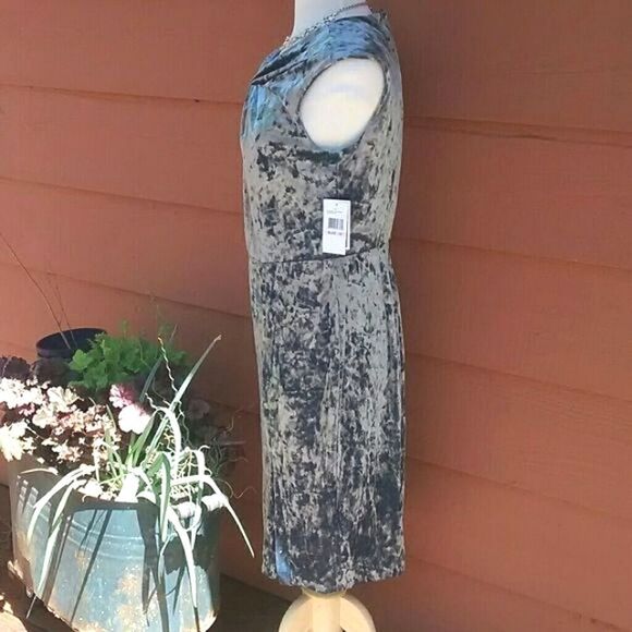 NWT eci Silvery Blue Velvet Dress - Picture 3 of 8